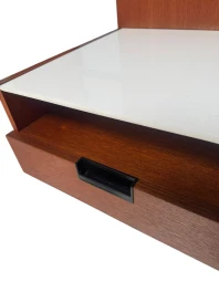 Two EU/NU-11 Japanese Series Wall Cabinets by Cees Braakman for Pastoe, 1958